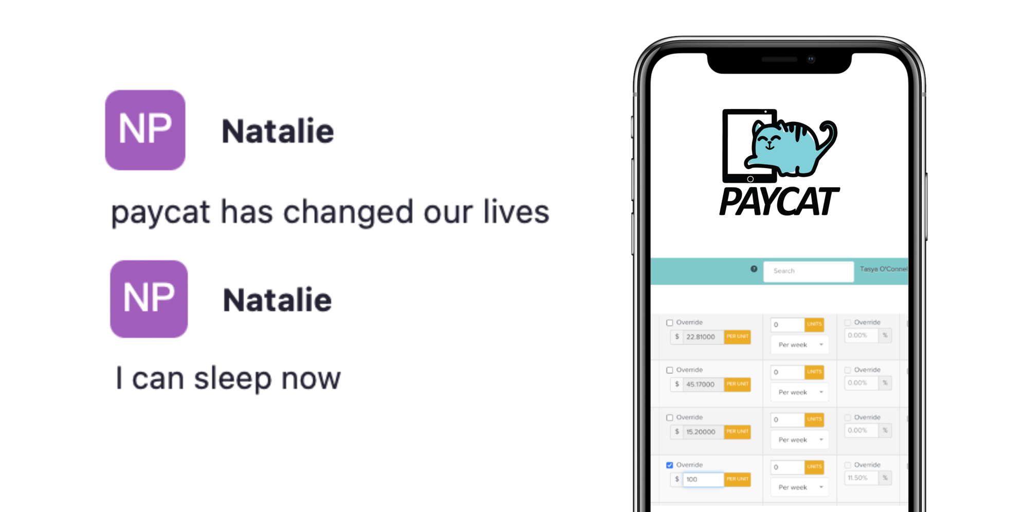 Pay Cat review with mockup