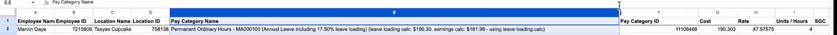 The Raw Report with the Pay Category Name column widened to show the full name, including the award code and the leave loading and earnings figures