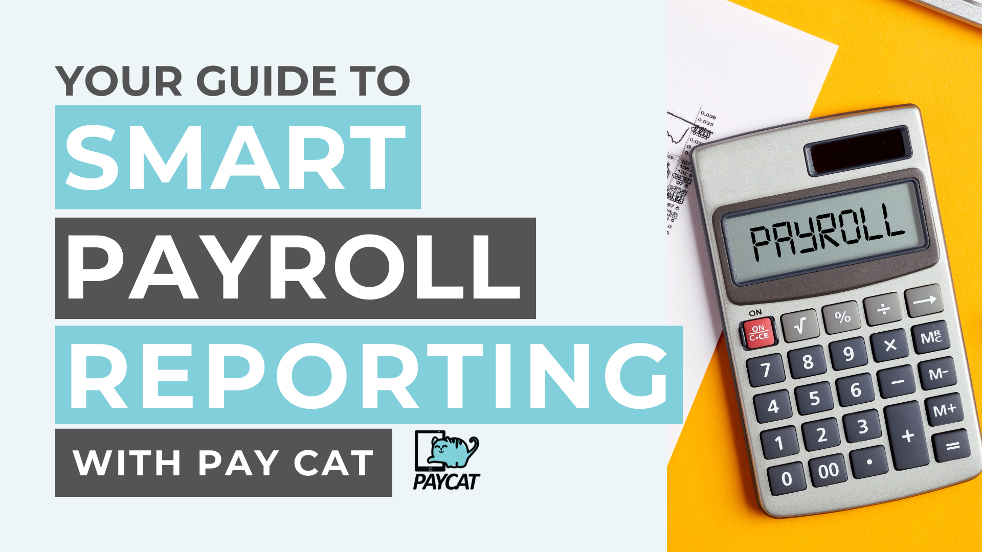 Smart Payroll Reporting with Pay Cat